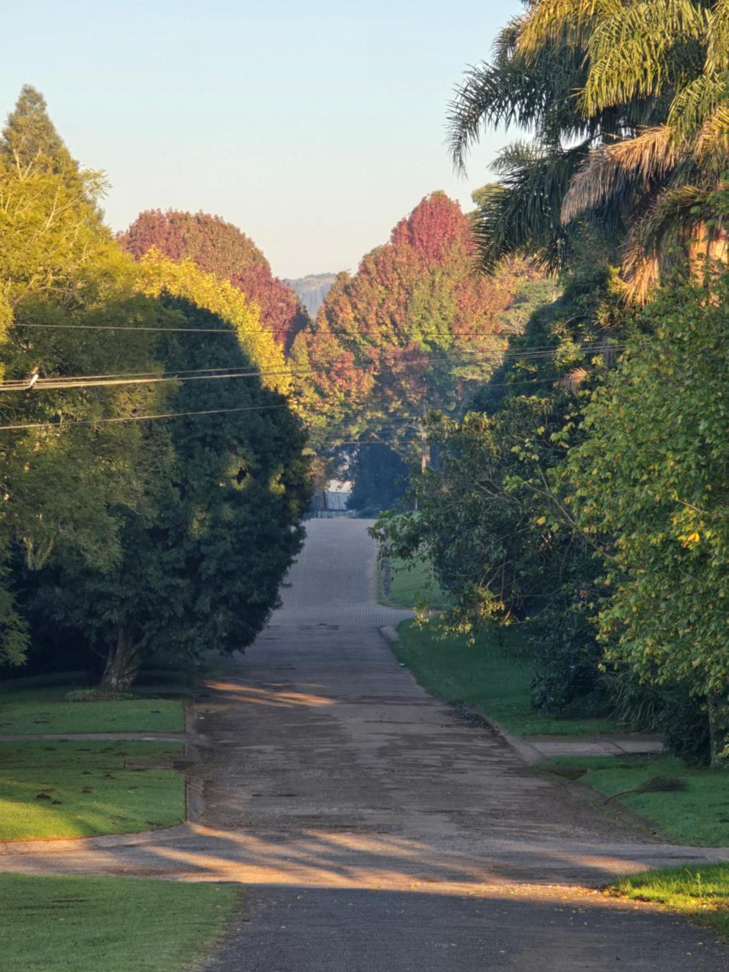 Mosswood Bed & Breakfast Graskop Extérieur photo