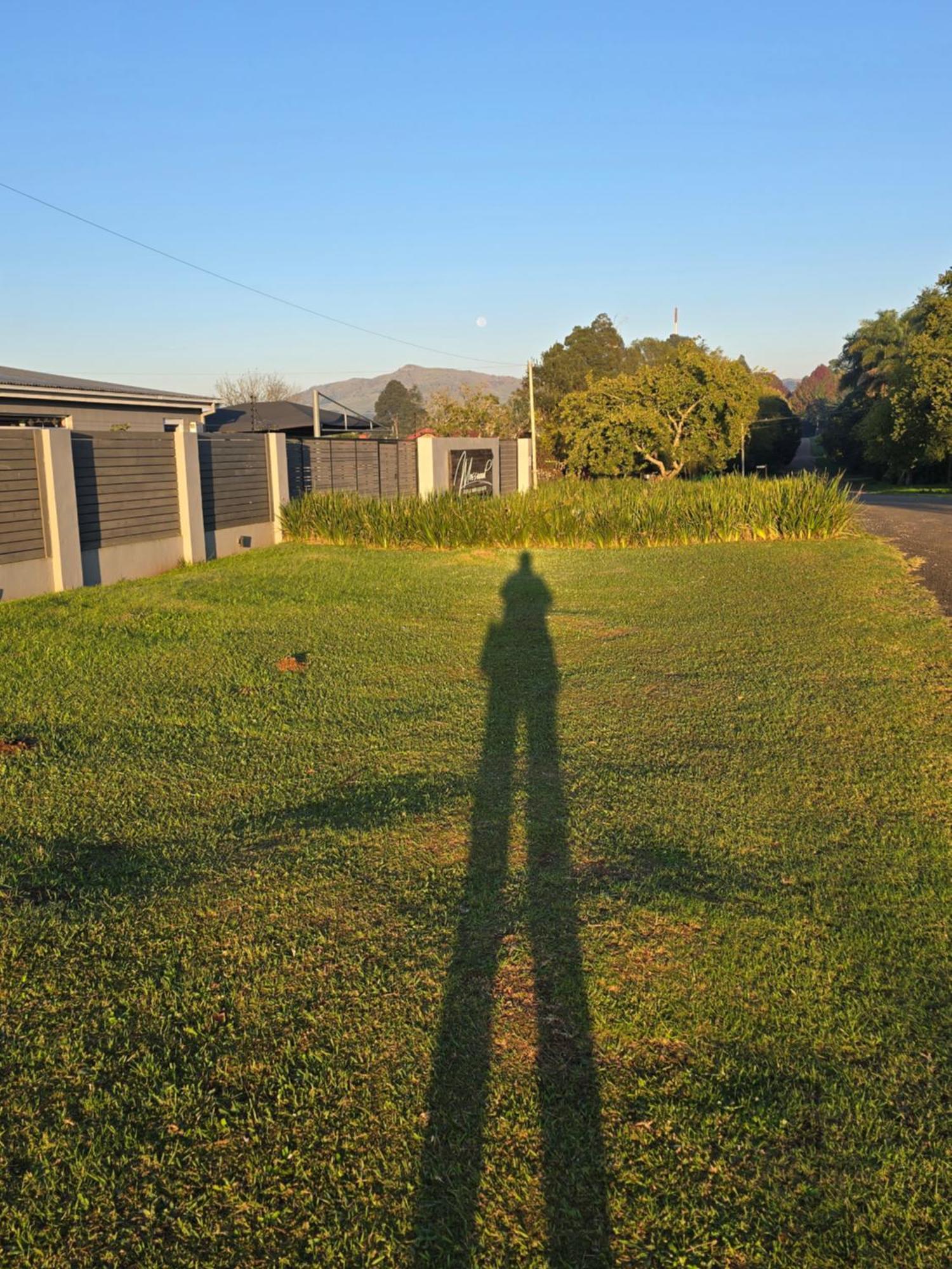 Mosswood Bed & Breakfast Graskop Extérieur photo